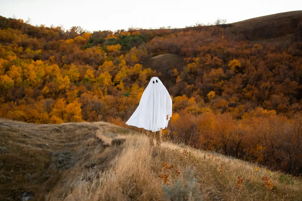 琅琊榜小說線上看：武俠江湖的爾虞我詐