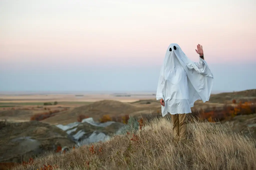 台灣文學中的石頭：深藏不露的靈魂