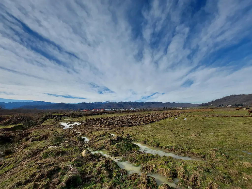 1. 精靈小說在台灣的發展