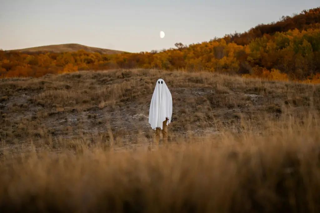 席絹小說線上看：徹底沉迷在浪漫與冒險的文學世界中